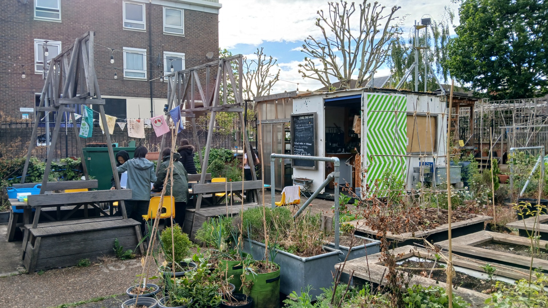 R-Urban Poplar